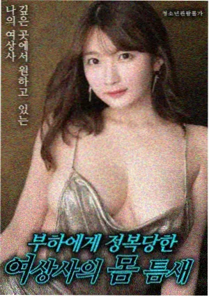 双生回声 影片海报